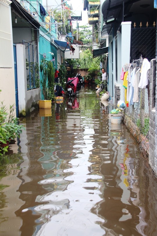 Quận[-]Thủ[-]Đức,[-]TP[-]HCM:[-]Sau[-]mưa[-]2[-]ngày[-]nước[-]vẫn[-]ngập,[-]dân[-]tự[-]bỏ[-]tiền[-]xây[-]cống